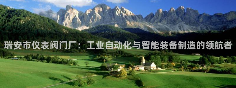 久游九游会