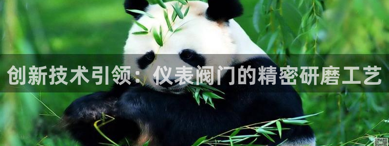 九游会老哥网