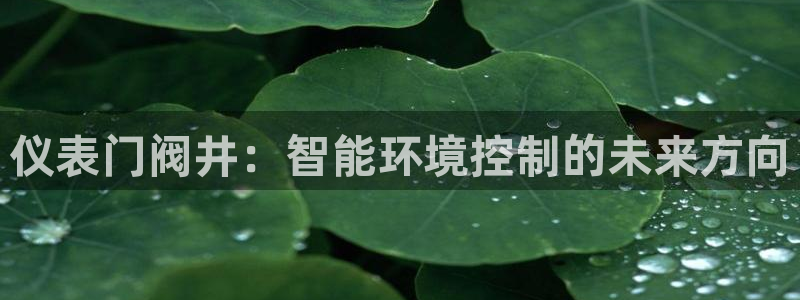 九游会网页入口