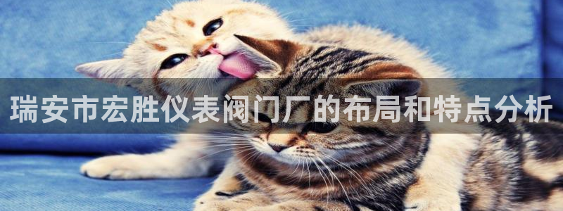 九游会官网入口在哪找