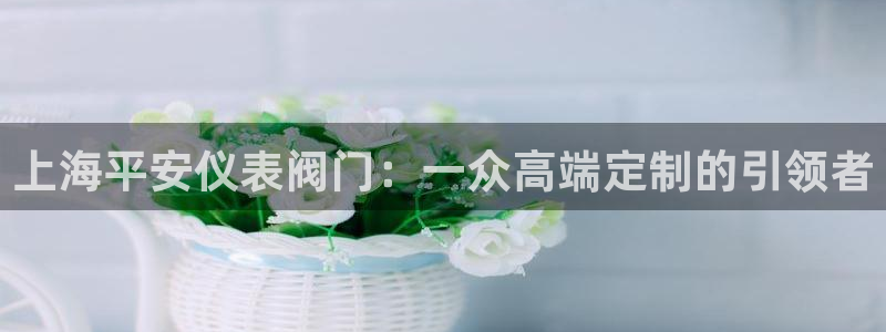 九游会dg