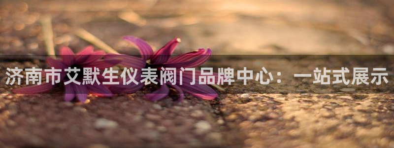 九游会网站