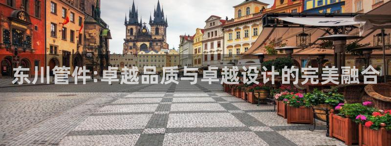 九游会老哥吧