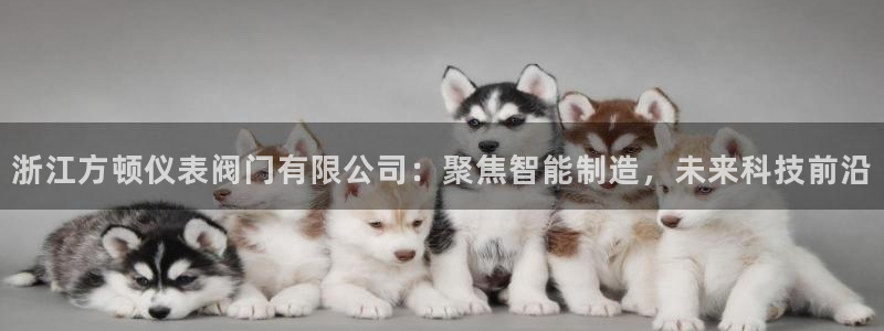 九游会官网平台下载