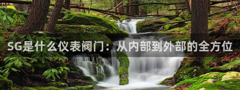 九游会ag棋牌