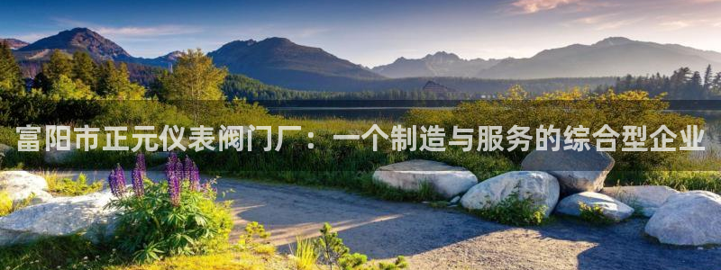 9游九游会