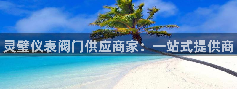 九游会AG8官网