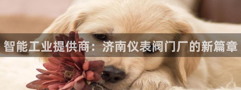 AG娱乐九游会j9