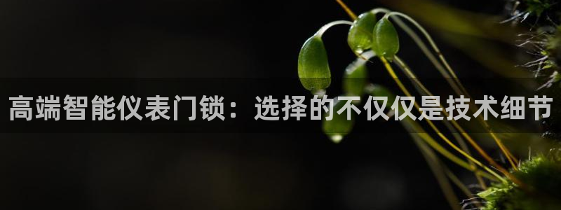 九游会国际物流