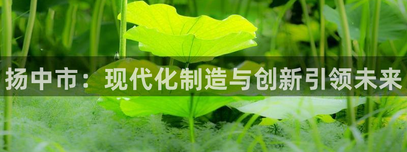 j9数字货币九游会备用