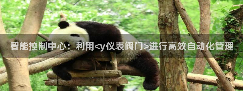 九游会黑网投