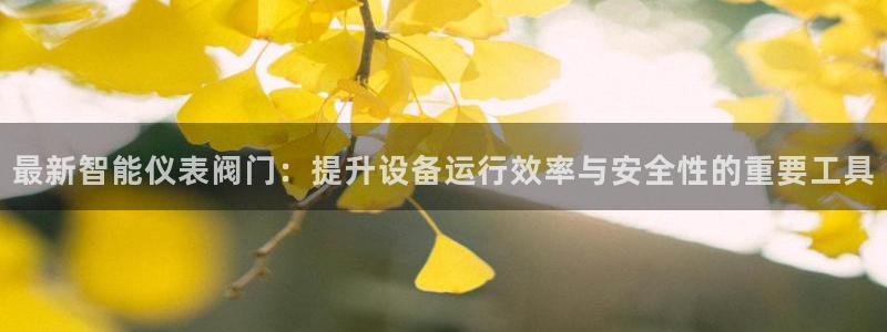九游会小米