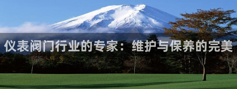 九游会官网入口在哪里