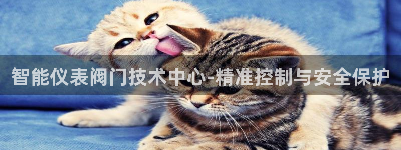 亚洲九游会
