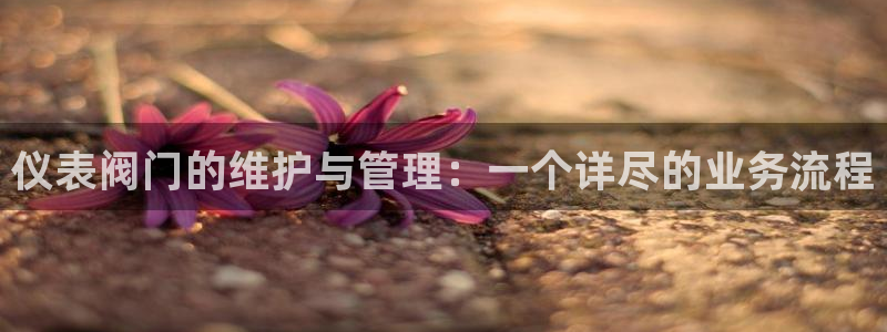 ag九游会官方