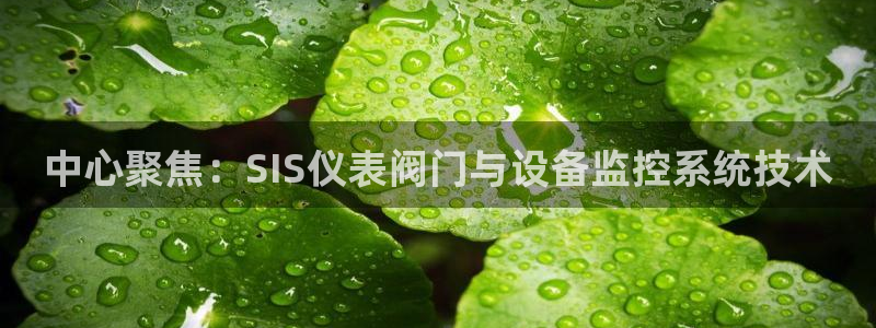 九游会老哥俱乐部论坛