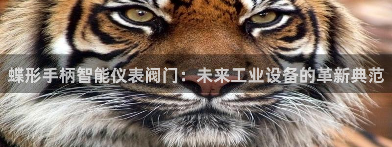 九游会只为非凡