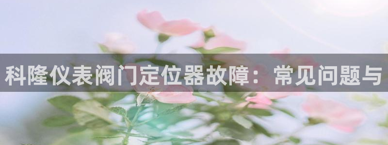 九游会新站