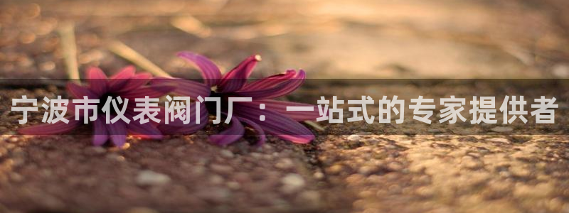 九游会九游会