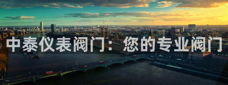 九游会阿里28理财源码