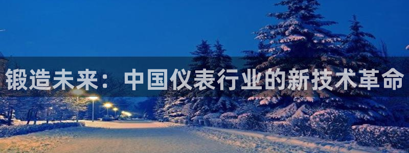 九游会双币