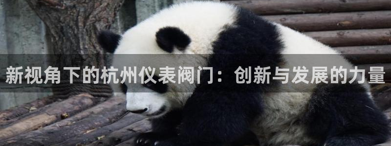 九游会正网