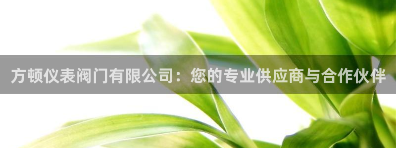 打开九游会