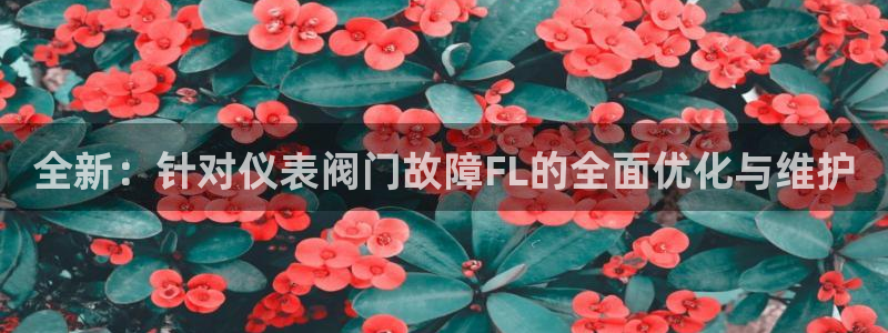 九游会代表