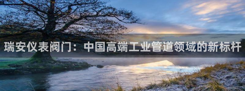 九游会亚洲集团