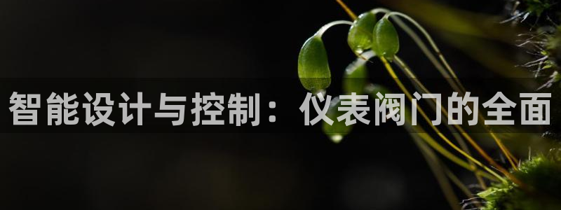 J9九游会 黑款