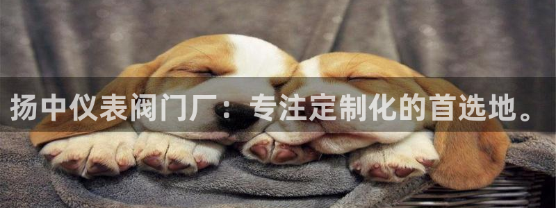 j9九游会公司
