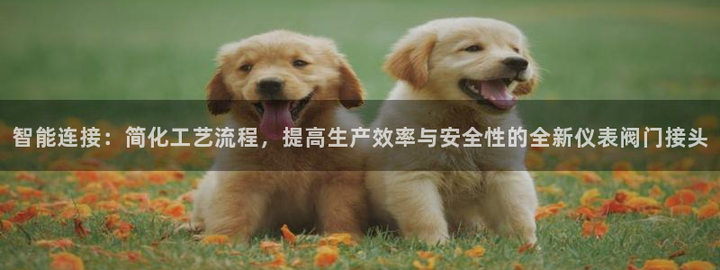 九游账号会丢吗吗