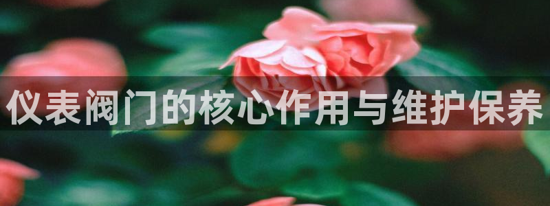 九游会倒闭了吗吗