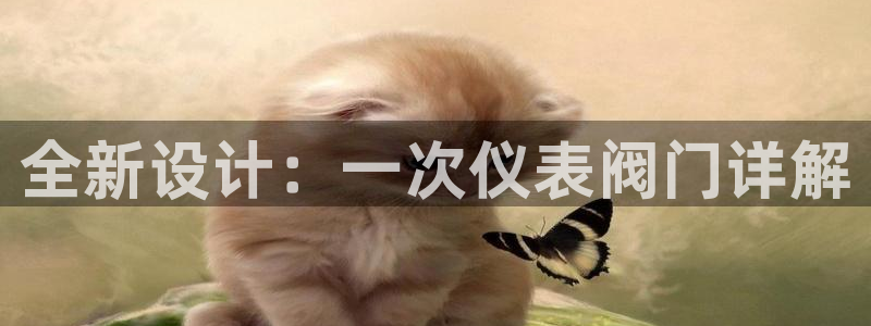 九游会Bitbase