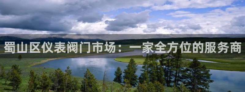 AG九游会j