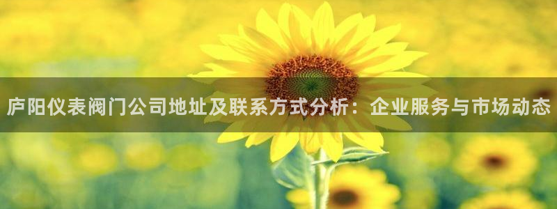 九游会网站多少