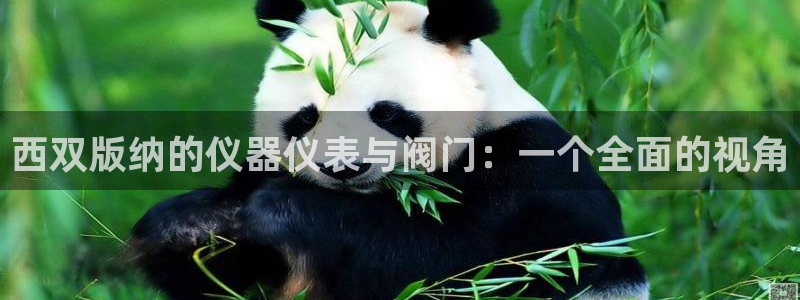 AG九游会安全吗