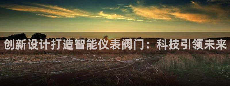 ag亚洲九游会