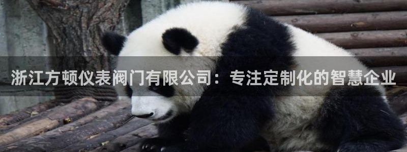 九游会ag入口