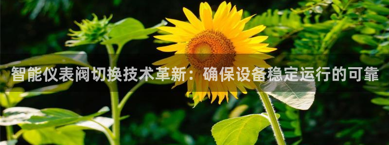 九游会平台九游会