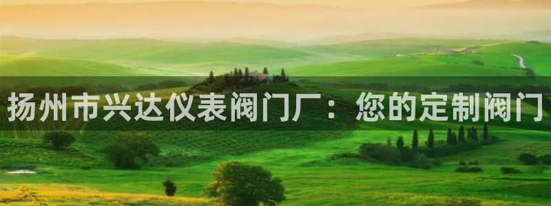 九游会怎样
