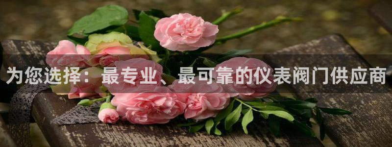 九游会亚游