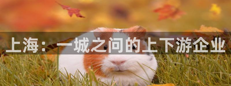 九游老哥会俱乐部