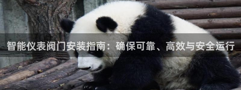 ag九游会真人