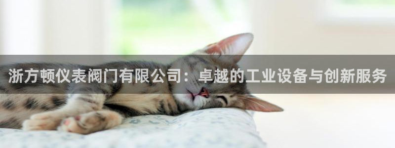 九游会新站