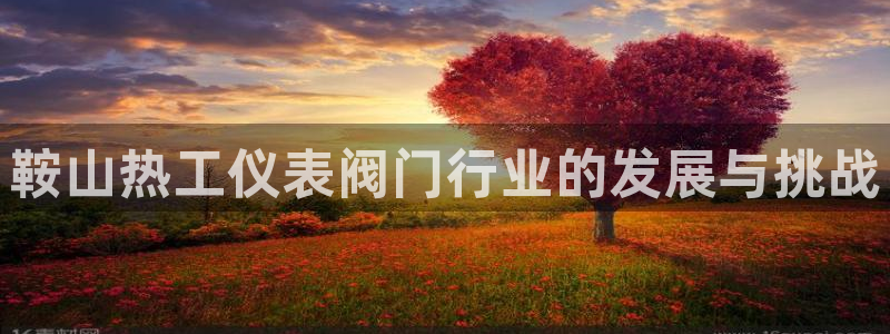 九游会私享