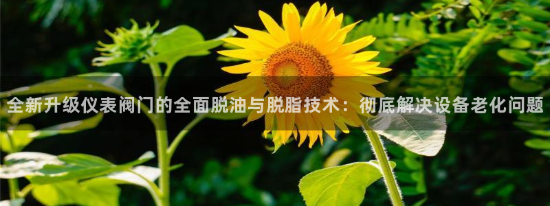 九游会官方网站个人中心
