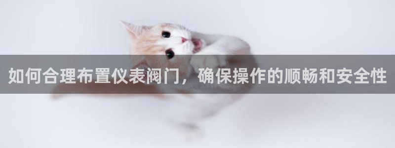 ag亚游九游会
