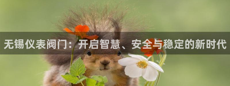 九游会登录不了