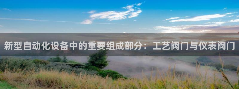 九游会网站是多少